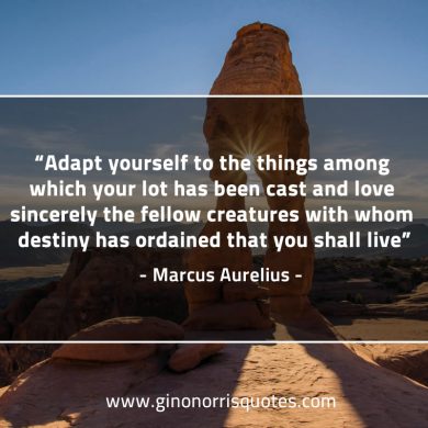 Adapt  yourself to the things among MarcusAureliusQuotes